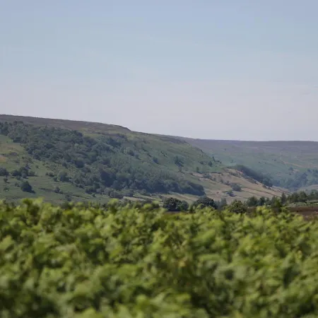 Semesterbostad Richmond *